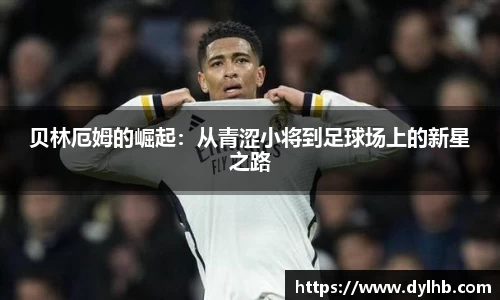emc易倍